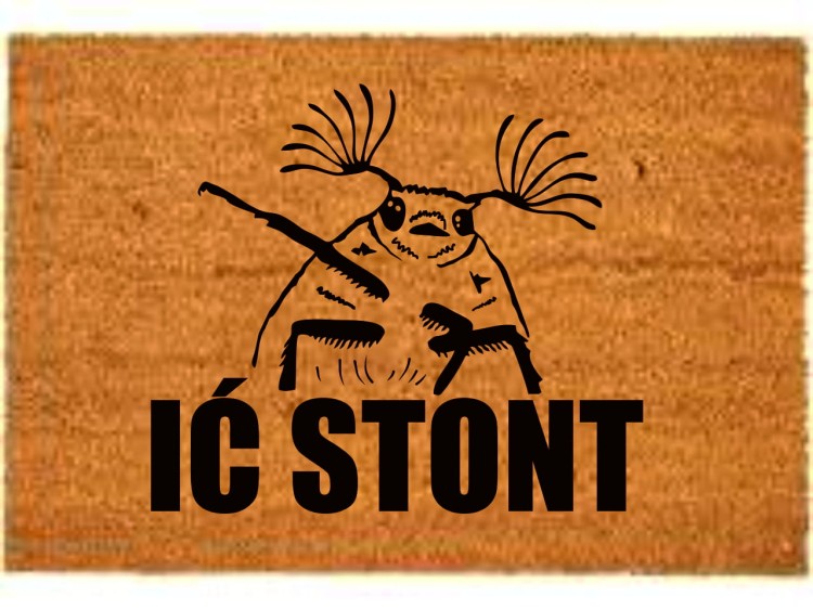 ic stont.jpg