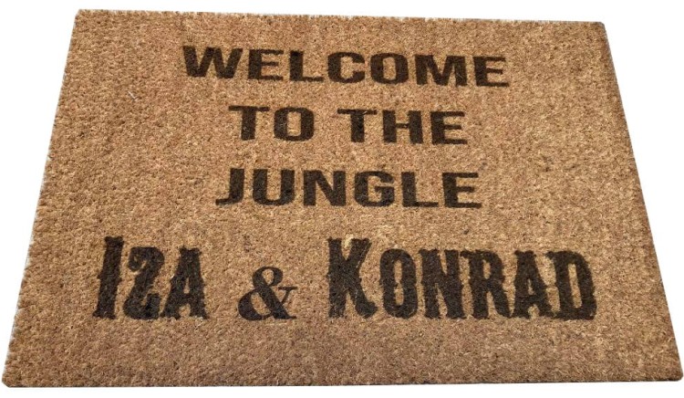 jungle 2.jpg